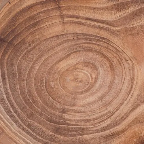 Holz